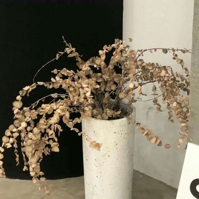 兽设场景氛围营造福瑞群